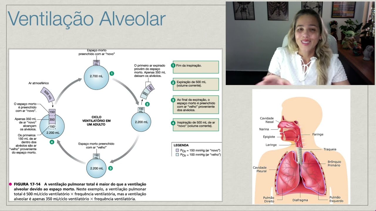 Ventilação Pulmonar (parte 5): Ventilação Alveolar