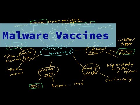 Malware Theory - Overview to Malware Vaccines