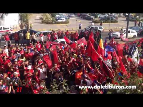 "La Barra 47 / Tiburones De Veracruz" Barra: Barra 47 • Club: Tiburones Rojos de Veracruz