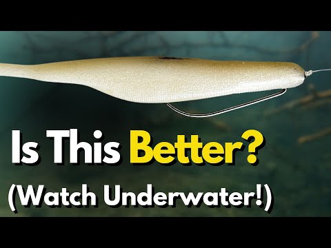THIS Made a Huge Impact on My Fluke Fishing (Underwater Look)