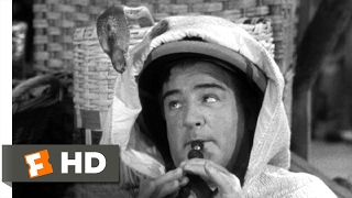 Abbott and Costello Meet the Mummy (1955) - Snake Charmer Scene (2/10) | Movieclips