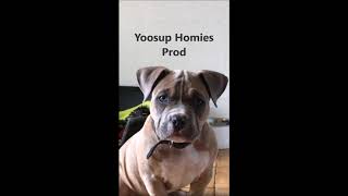 Jermaine Dupri feat Nate Dogg , R.O.C , Tigah , Skeeter Rock , Trey Lorenz &amp; Katrina - Whatever