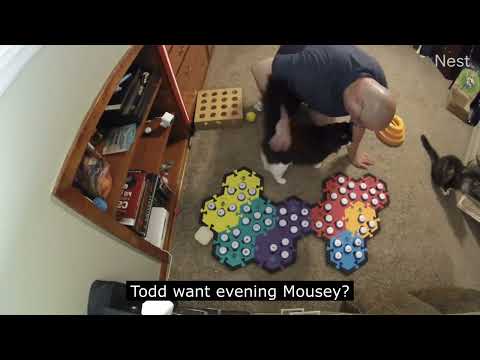 How I Train Todd To Learn His Buttons
