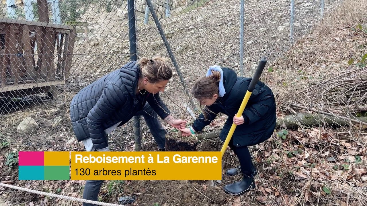 🌳 Reboisement à La Garenne : 130 arbres plantés