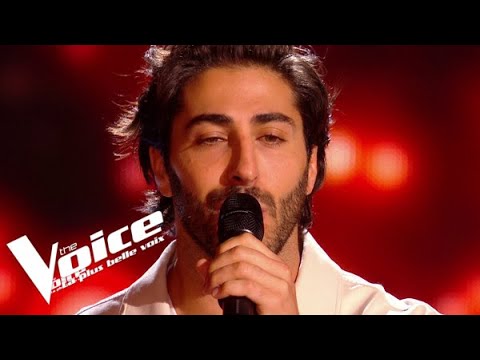 Stevie Wonder - All in love is fair | Marvin | The Voice France 2021 | Blinds Auditions