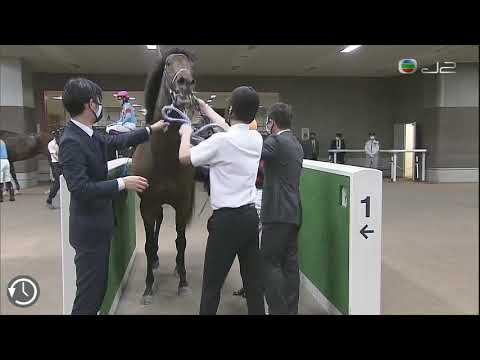 2021NHK一哩賽 2021 NHK Mile G1