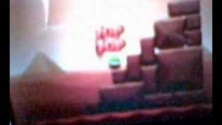 New super Mario bros. glitch