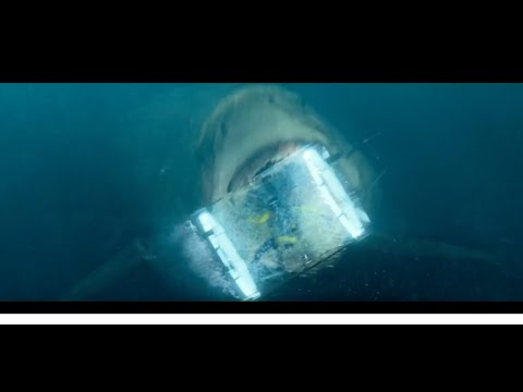 The Meg 2018 - Megalodon vs Shark Cage Scene | Movie Clipper