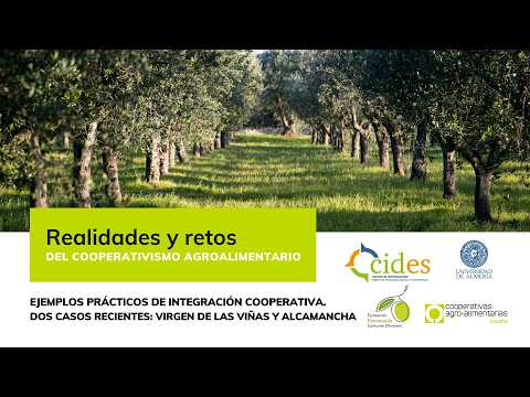 Fotograma del vídeo: Charla UAL: Ejemplos prácticos de integración cooperativa. Virgen de las Viñas y Alcamancha