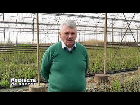 Proiect de succes Arad Ioan Horga 7 04 2024