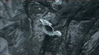 preview picture of video 'Skyrim Glitches - Stop the ride, I want to get off'