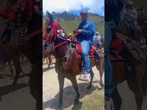 Fiestas hoy jueves en honor a la Virgen del Carmen en Toledo norte de Antioquia