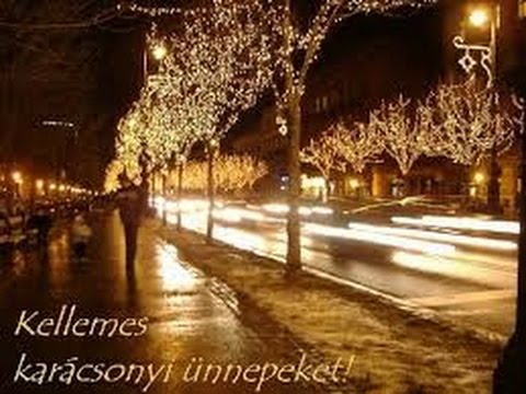 Budapest 137.-es busz(Szentlélek tér H.-Máramaros út)bus line nr.137.