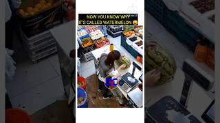 Download lagu watermelon lives up to its name 😜#shorts#trending #funny #youtubechannel #foryou mp3
