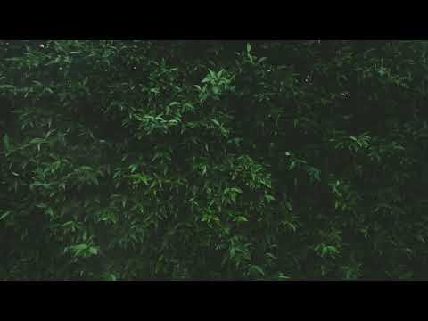 Hogh ft Harutyun Chkolyan - My Old Home