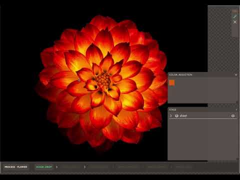 Textile Color Separation video preview