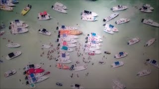 EMMANUEL FREMIN GALLERY - Antoine Rose video