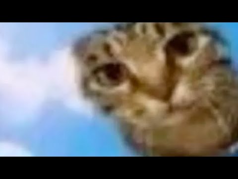 De kieru - some animation thing