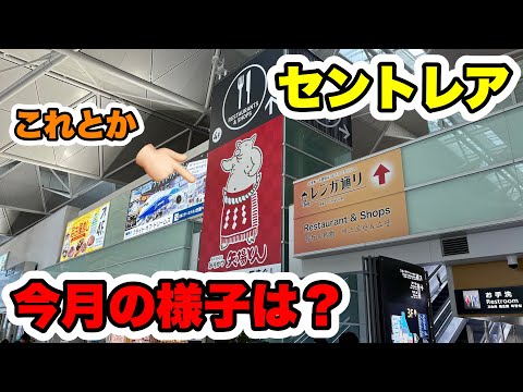 フェズ – サイス空港について詳しく解説