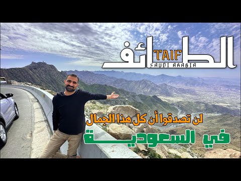 الفيديو