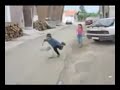 Humor Negro: La pelota de cemento