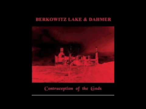 BERKOWITZ LAKE & DAHMER - Knock Some Sense