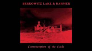 BERKOWITZ LAKE & DAHMER - Knock Some Sense