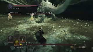 初見　ダークソウル2