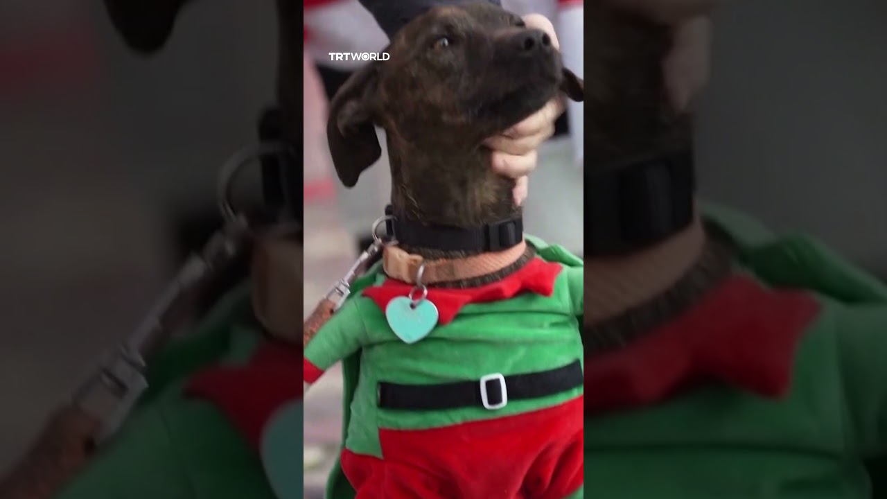 Video | People in Santa Claus costumes cycle through Rome to support sick children