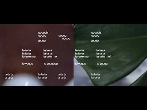 camoufly - Safe (Official Video)