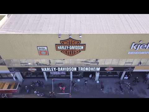 download lagu mp3 mp4 Harley Trondheim, download lagu Harley Trondheim gratis, unduh video klip Harley Trondheim