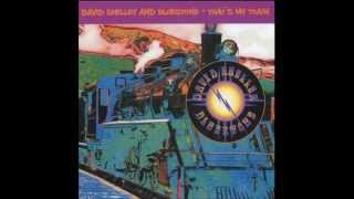 David Shelley &amp; Bluestone - Enough Love