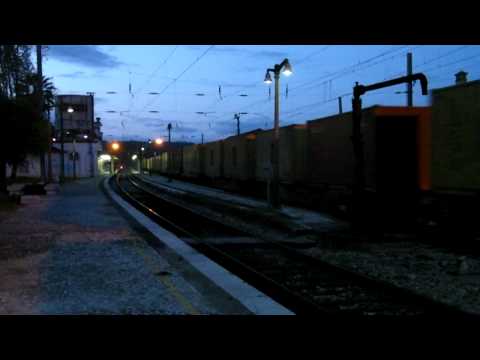 Comboio Combinado n.º 81384 - Santarém