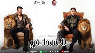 كلمات اغنية الاسد حل خرج بلجيكا الفنان ولوكشا