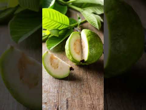 pratap nursery #shortsfeed #plantsofindia #shortvideo #fruit #music #darogatest #nature