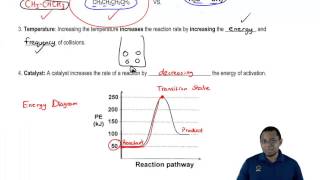 Kinetics & the Catalyst