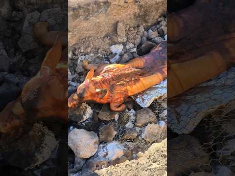 I learned how to cook a pig Hawaiian style
