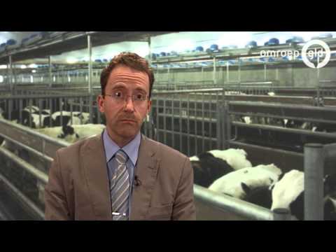 Gelderland Stemt 2015 - Partij voor de Dieren
