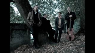 Joel Frederiksen &amp; Ensemble Phoenix Munich - Which Will (Nick Drake)