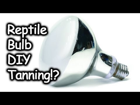 YouTube video about: Can you tan with a reptile bulb?