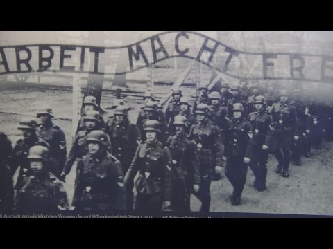 Ochotnik do Auschwitz