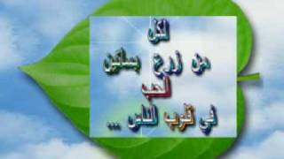 Aimer la Vie sans l'abimer