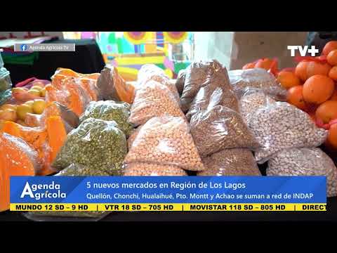 Nota Indap Mercado Los Lagos