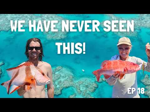 THE MOST UNREAL DAY ON THE REEF - Fishing, Spearing and Hand Caught Red Emperor!