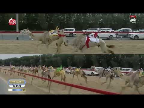 ش 10 (شاهين) لـ زاهر بن فايل العويسي 12:18:85 ، ختامي المرموم 2026/03/30 ثنايا