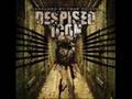 Despised Icon - Fashionable