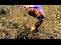 Elder Scrolls Skyrim Pink Giant BUG WTF