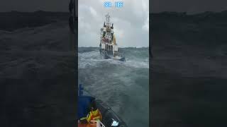 Download lagu Apakah kamu ingin merasakan kehidupan sebagai seorang pelaut? #pelaut #laut #lucu #videolucu #momenlucu mp3