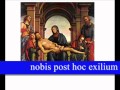 Salve Regina Mater misericordiae.wmv 