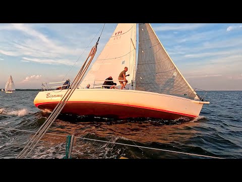 Firefly 2021-09-08 - Island Lover